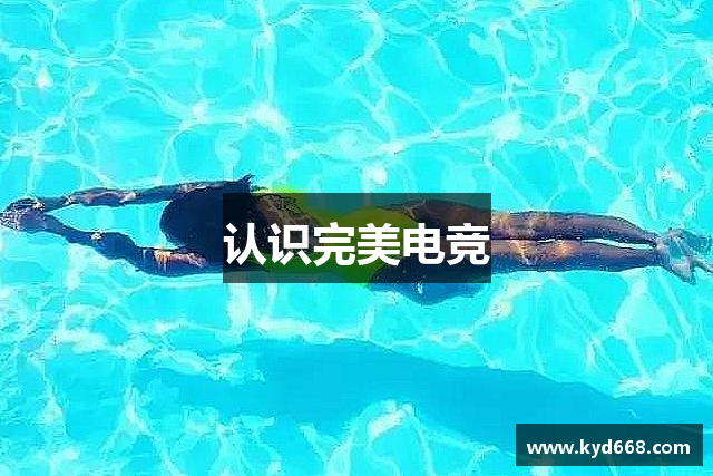认识完美电竞